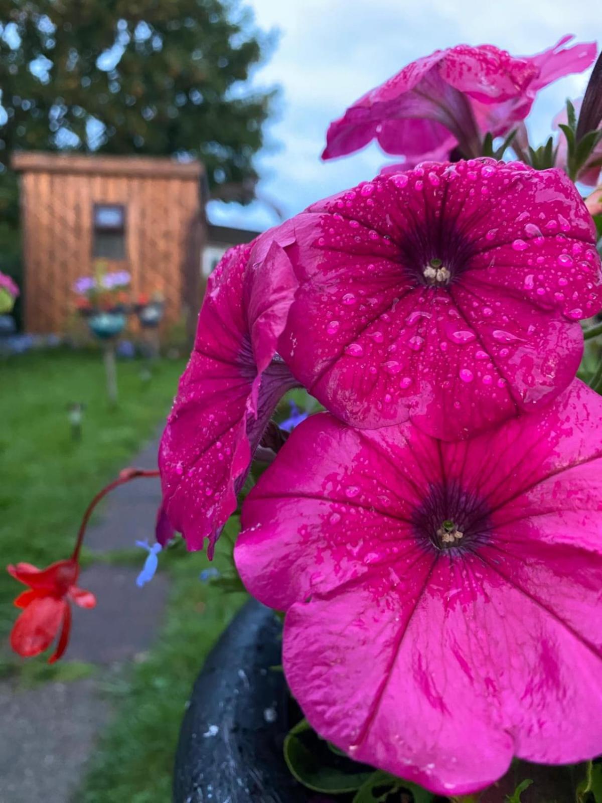 Birds And The Bees Summer House Endon Buitenkant foto